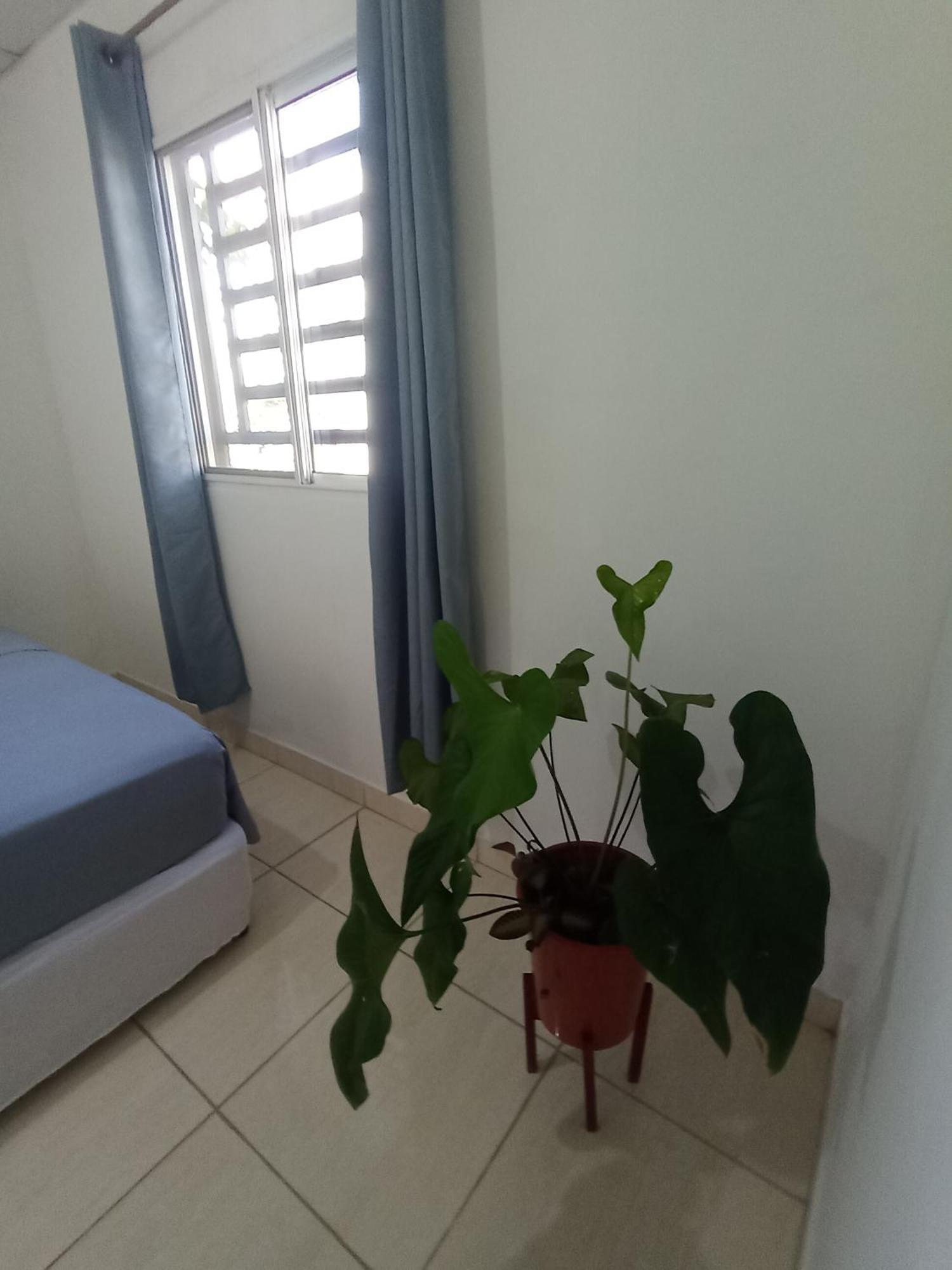 Copey House Chiriqui, Via Hacia Volcan Holiday home