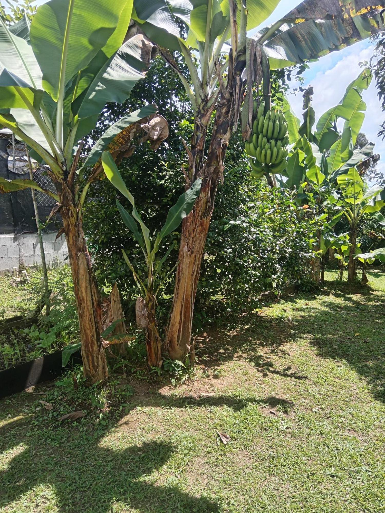 Holiday home Copey House Chiriqui, Via Hacia Volcan *